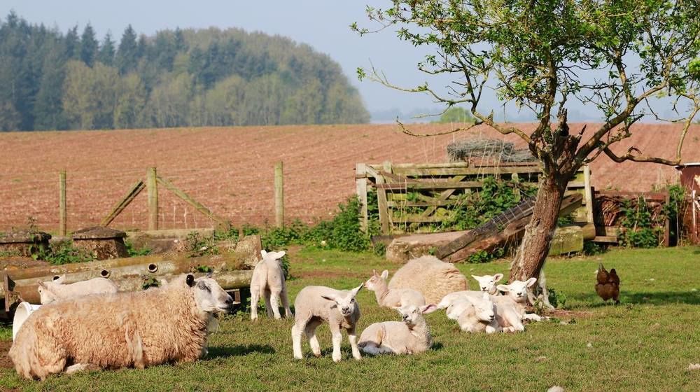 Huntlands Farm Bed & Breakfast Bromyard Bagian luar foto