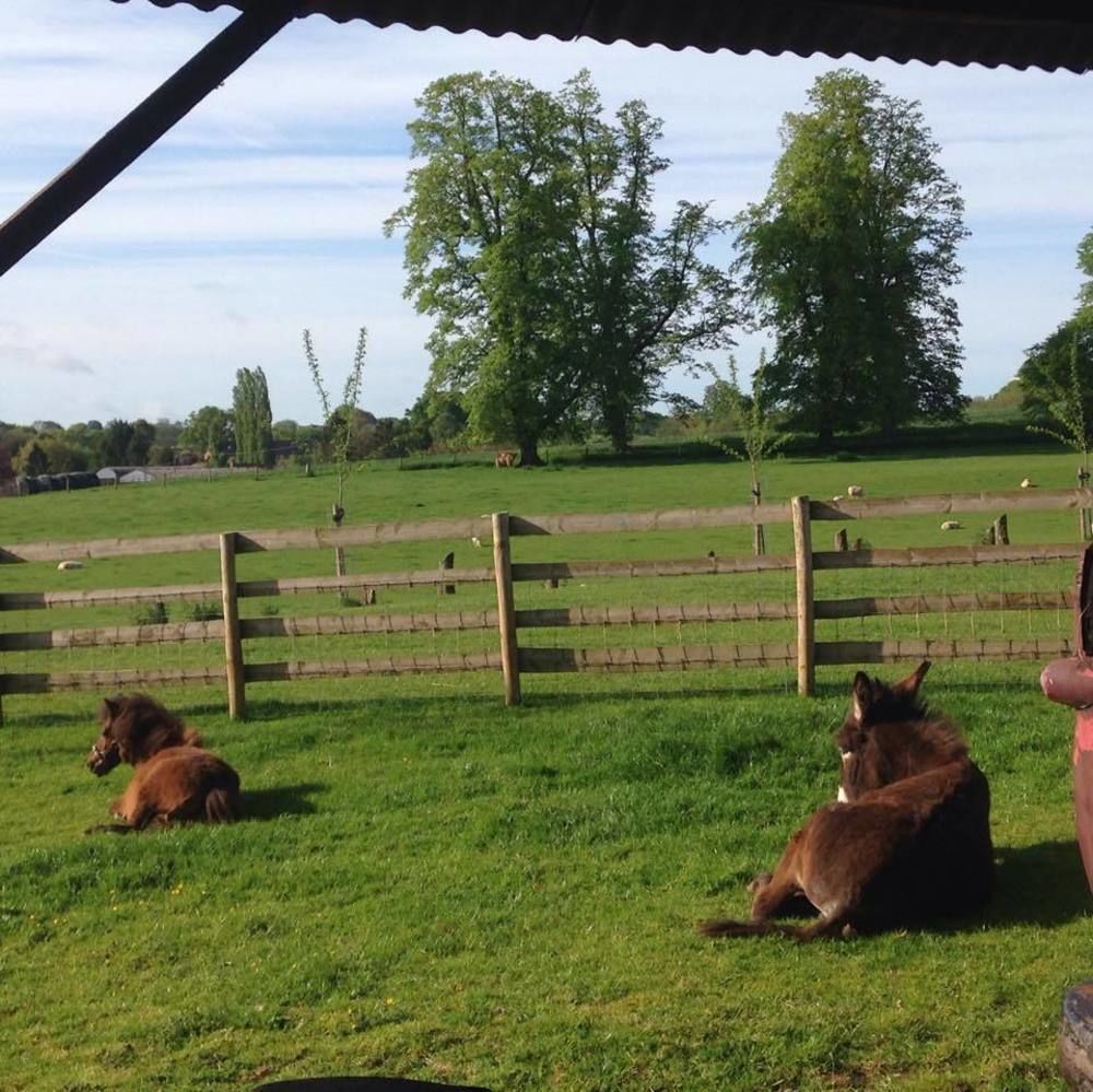 Huntlands Farm Bed & Breakfast Bromyard Bagian luar foto
