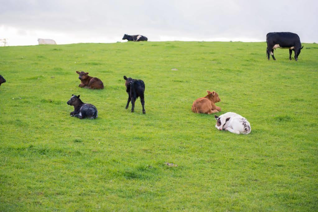 Huntlands Farm Bed & Breakfast Bromyard Bagian luar foto